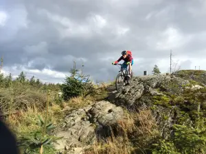 Davagh Forest Trails - MTB Trailhead