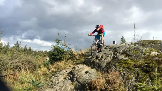 Davagh Forest Trails - MTB Trailhead