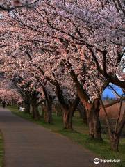 木場瀉公園