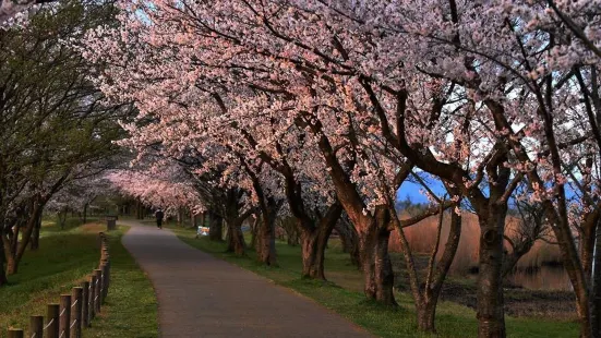 木場潟公園