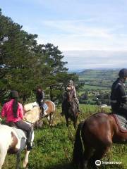 Ballyhoura Horse Trekking