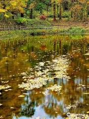 Makkarimura Arboretum