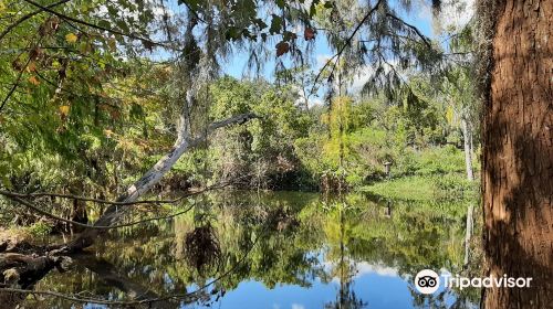 Mead Botanical Garden