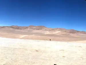 Mano del Desierto