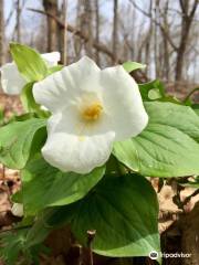 Lilly Nature Center