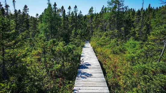 Alexander Murray Hiking Trail