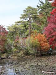 Kobe City Forest Botanical Gardens