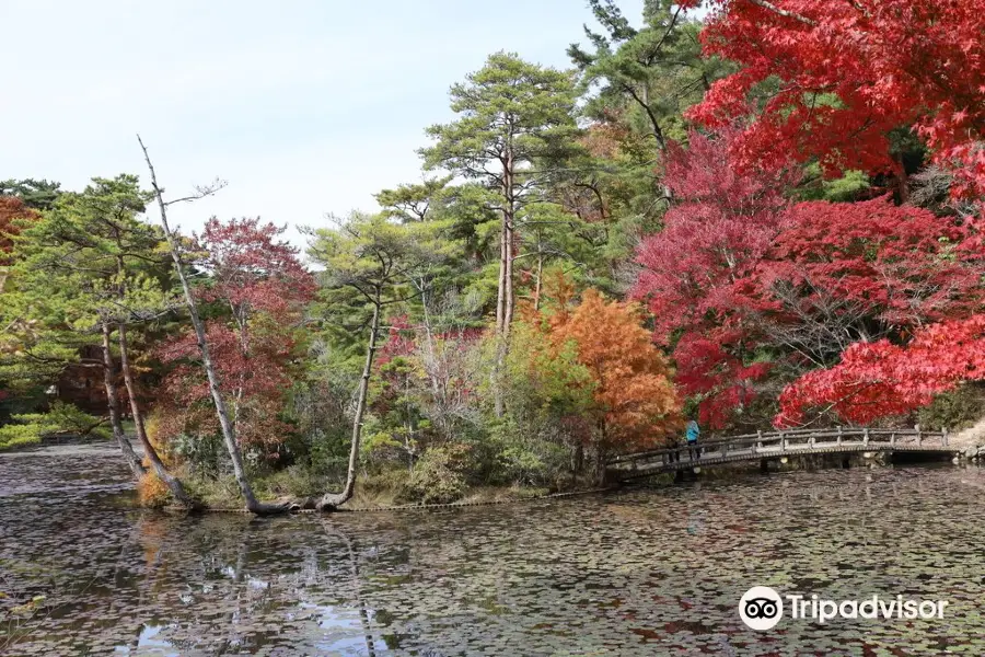 神戶市立森林植物園