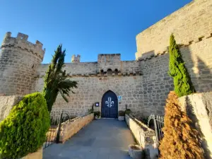 Castle of Olmillos de Sasamón