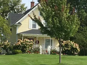 LuceLine Orchard, Best Apple Orchards in MN