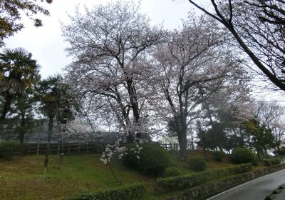 姬路市立手柄山溫室植物園