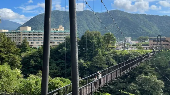 鬼怒楯岩大弔橋