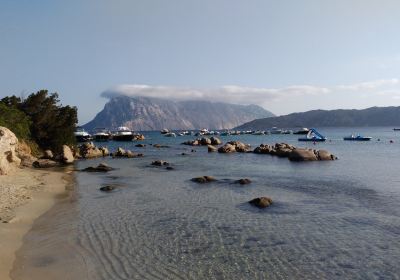 Le Farfalle - Cala Suaraccia Beach