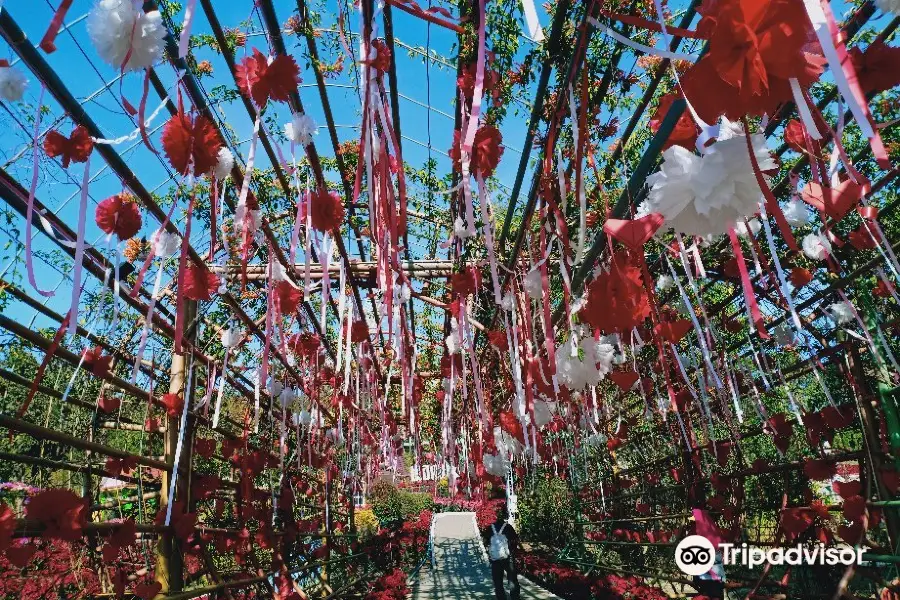 Parque nacional de Phu Ruea