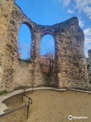 Reading Abbey Ruins