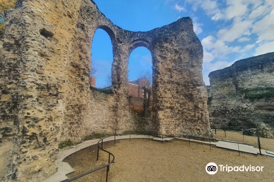 Reading Abbey Ruins