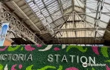 倫敦維多利亞車站