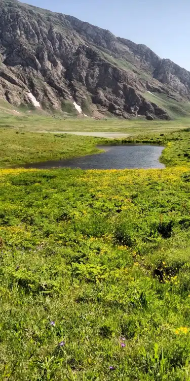イラン テヘラン州のホテル