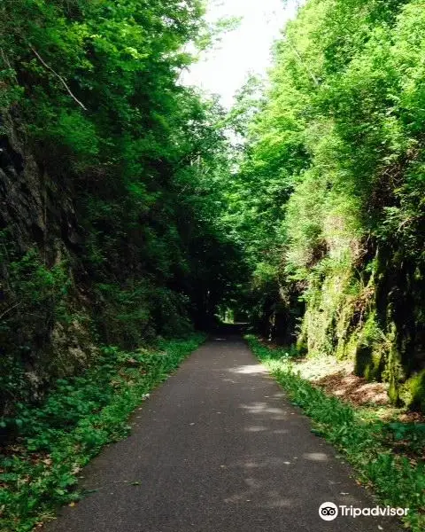 Harlem Valley Rail Trail
