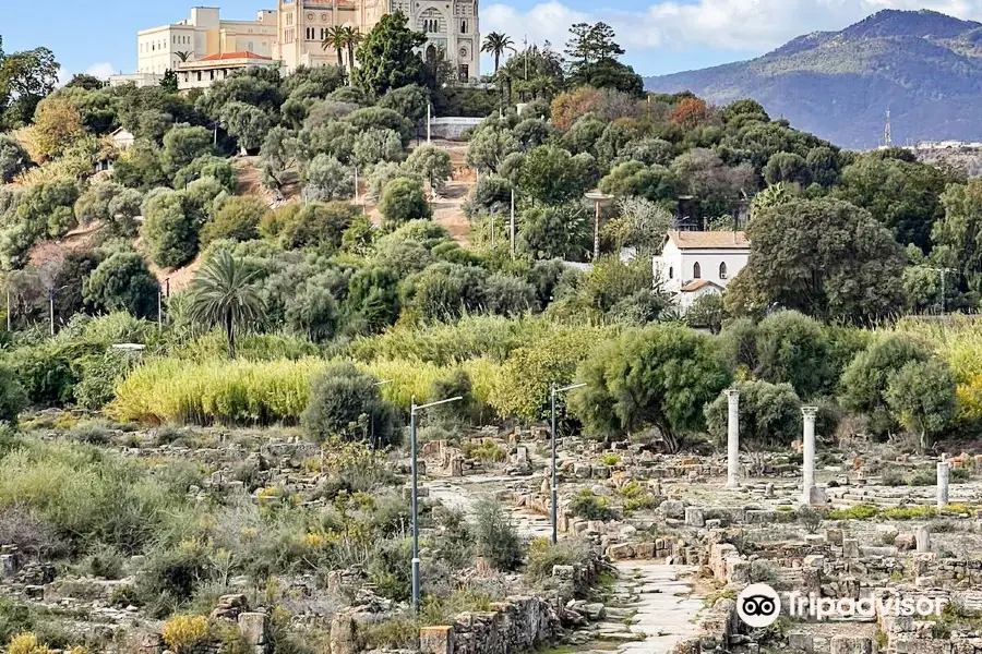 Musee des Ruines d' Hippone