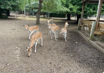 Wisconsin Deer Park