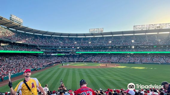 แองเจิล สเตเดียม