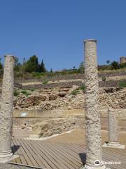 Cerro del Molinete Archaeological Park (Parque Arqueológico Cerro del Molinete)