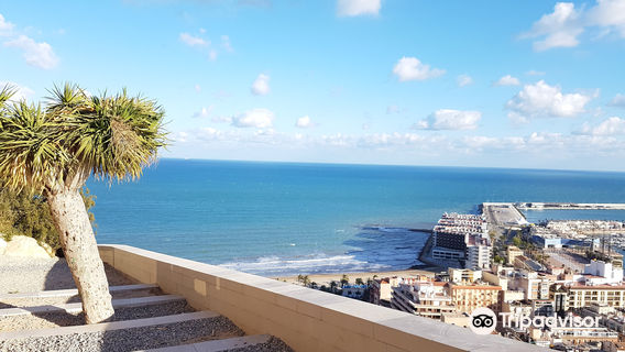 Alicante