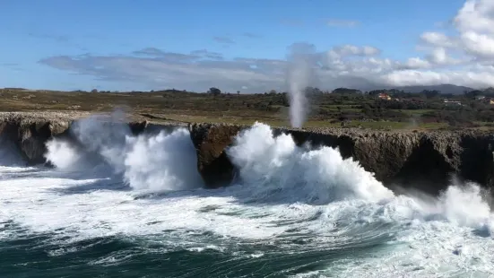 Bufones de Pria