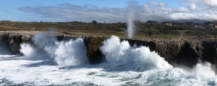 Bufones de Pria