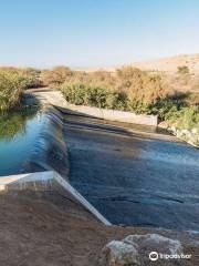 Al Ansab Wetland