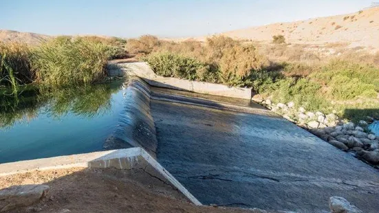 Al Ansab Wetland