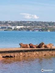 Parque Ecológico Península Sul