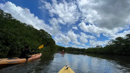 Kayak Club Tamarindo