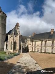 Chateau of Chateaudun