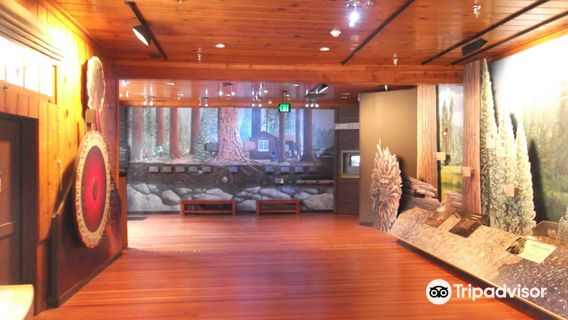 Giant Forest Museum