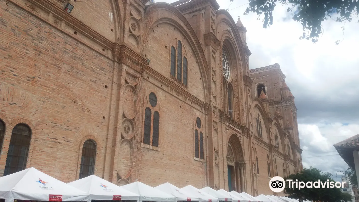 3_New Cathedral (Catedral de la Immaculada)
