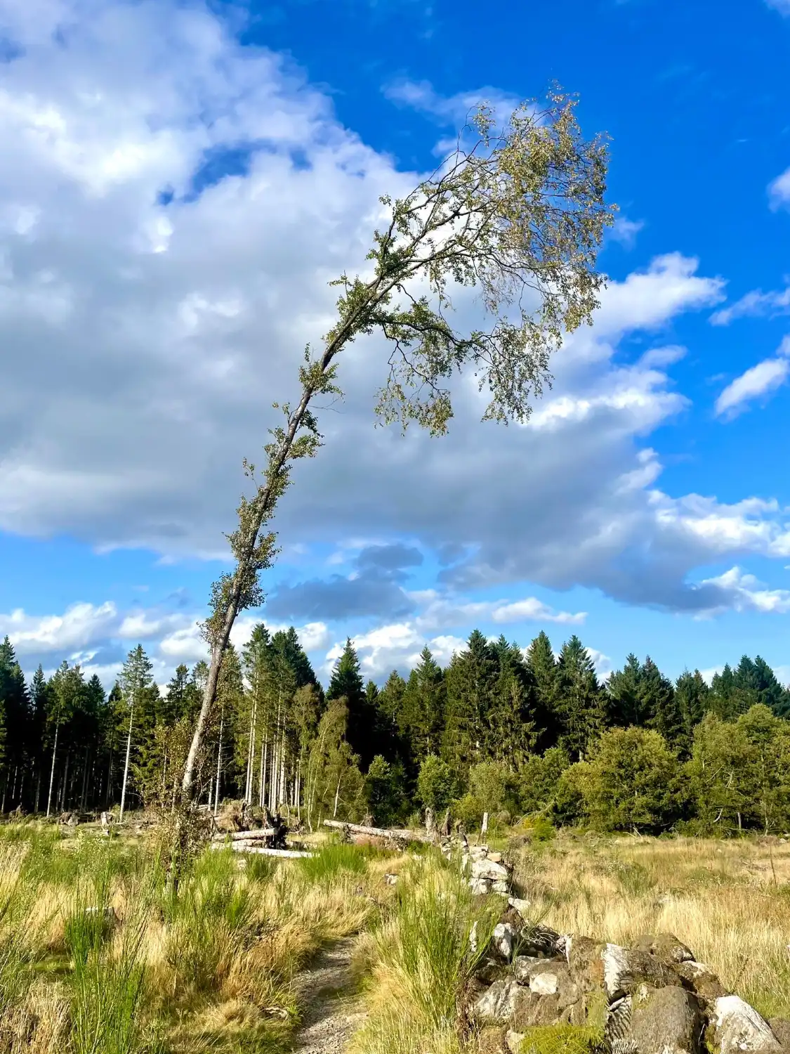 Hotels in der Nähe von Scolty Hill