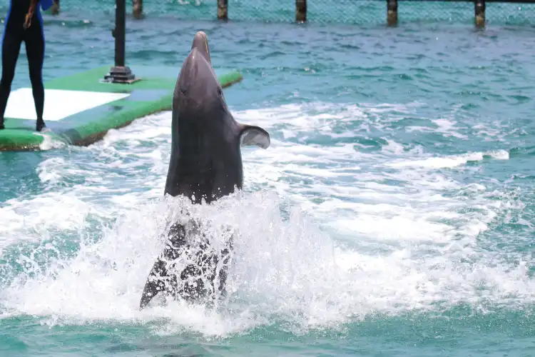 Hotels near Oceanario