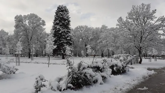 Park "St. St. Peter and Pavel "