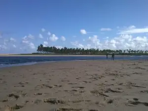 Barra Do Jacuipe Beach