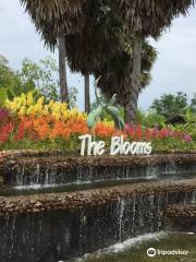 The Blooms Orchid Park