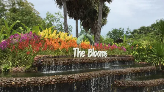The Blooms Orchid Park