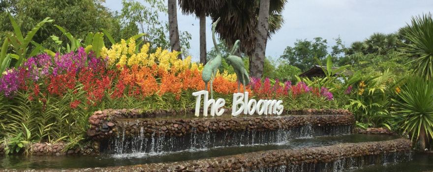 The Blooms Orchid Park