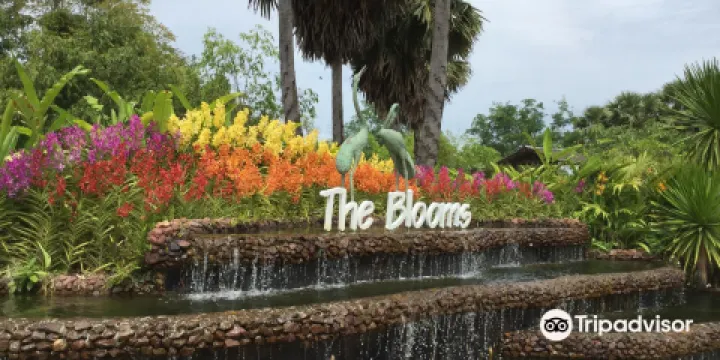 The Blooms Orchid Park