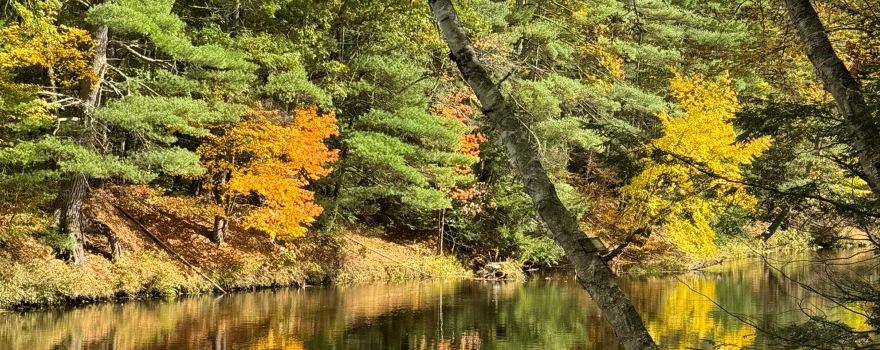 Wildcat Falls Conservation Area