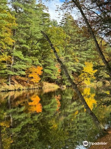 Wildcat Conservation Area