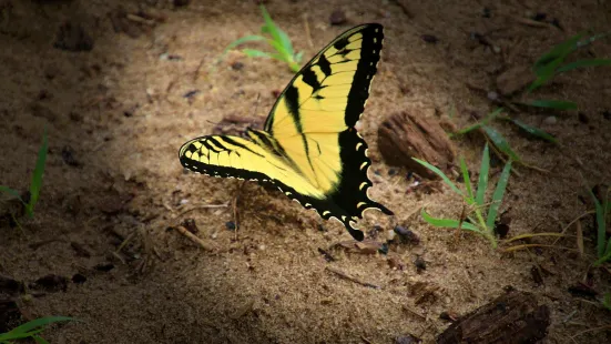 Leesylvania State Park