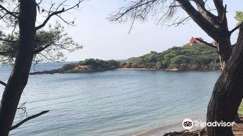 Plage noire du Langoustier