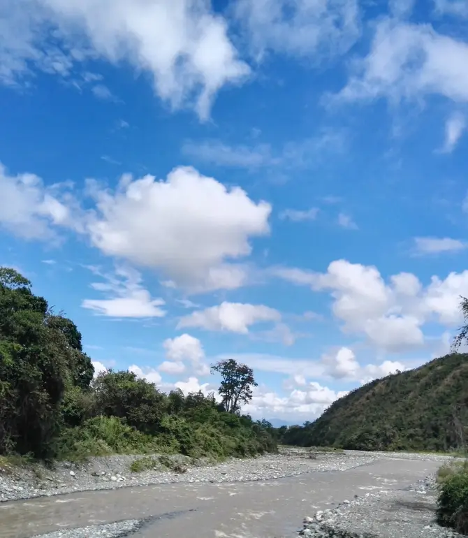 Tulua